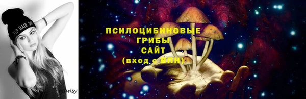 спайс Абаза