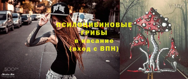 спайс Абаза