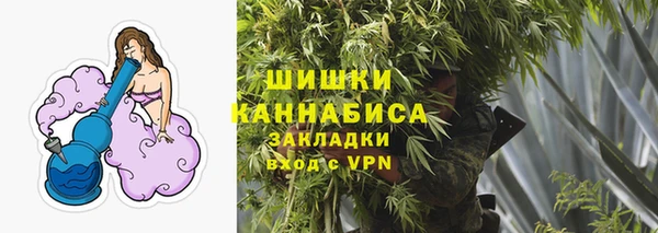 молекула духа Новодвинск