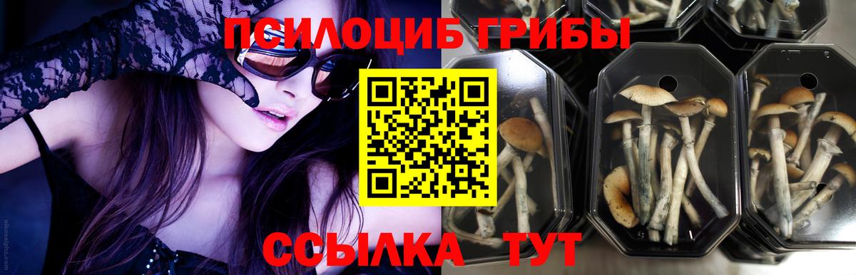 КОКАИН Югорск