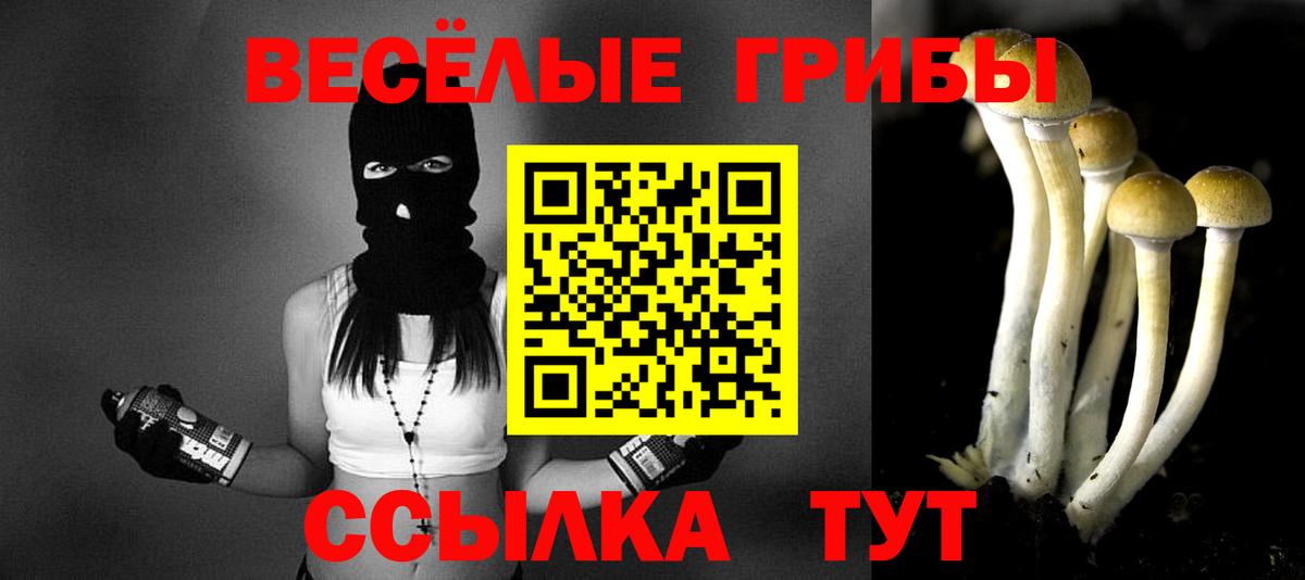 Югорск  Галлюциногенные грибы Psilocybine cubensis  Вход с VPN  Псилоцибиновые грибы мицелий 